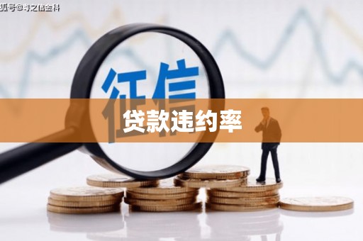 阳春贷款违约率