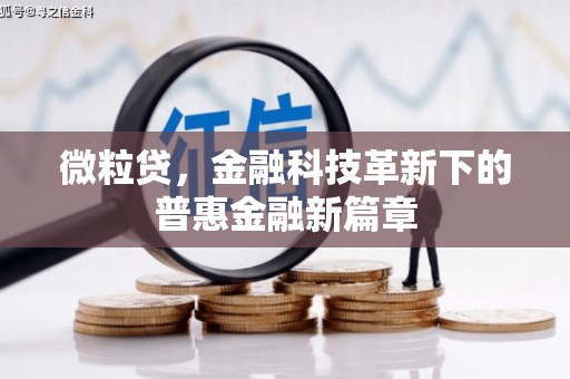 阳春微粒贷，金融科技革新下的普惠金融新篇章