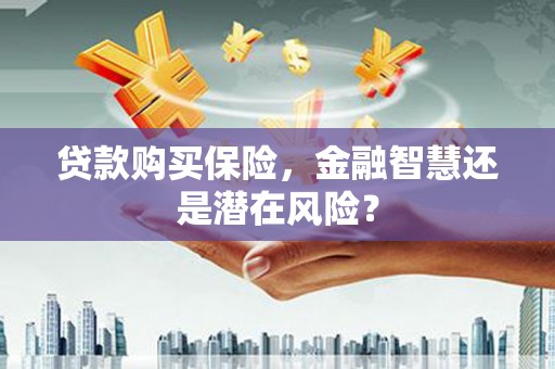 阳春贷款购买保险，金融智慧还是潜在风险？
