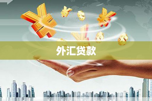 阳春外汇贷款