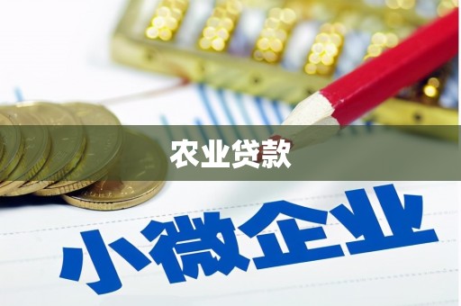 阳春农业贷款