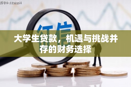 阳春大学生贷款，机遇与挑战并存的财务选择