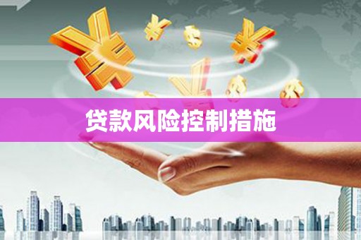 阳春贷款风险控制措施