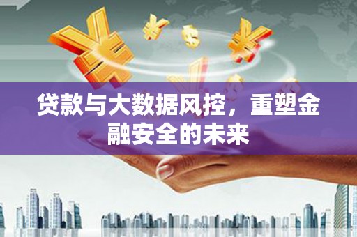 阳春贷款与大数据风控，重塑金融安全的未来