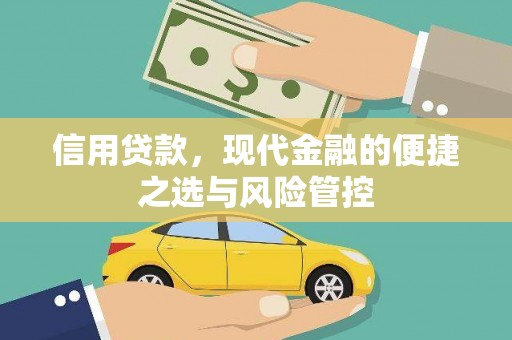 阳春信用贷款，现代金融的便捷之选与风险管控