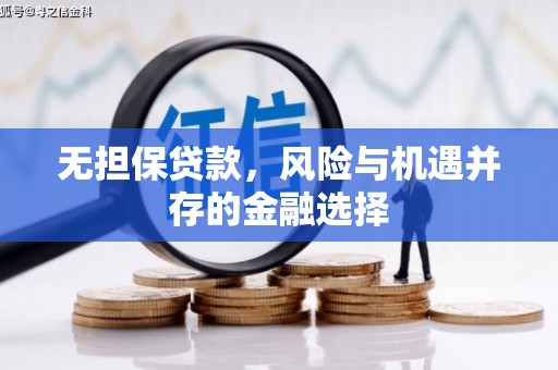 阳春无担保贷款，风险与机遇并存的金融选择