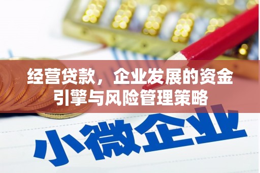 阳春经营贷款，企业发展的资金引擎与风险管理策略
