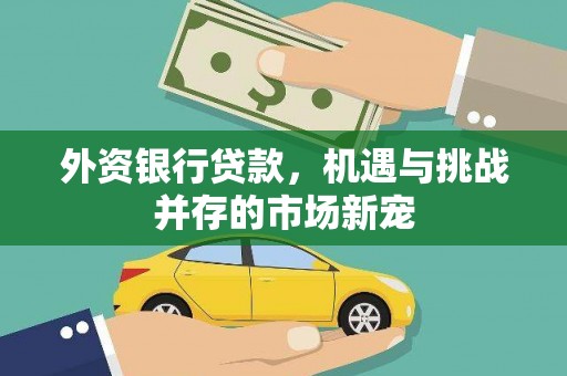阳春外资银行贷款，机遇与挑战并存的市场新宠