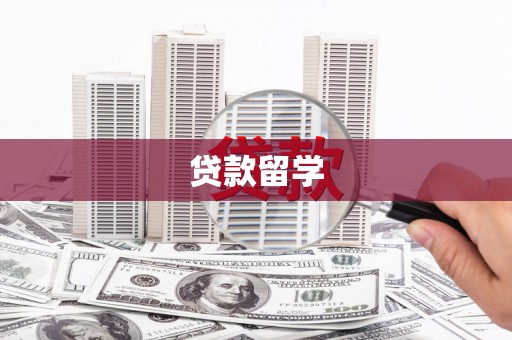 阳春贷款留学
