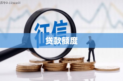 阳春贷款额度