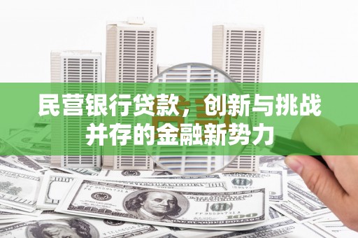 阳春民营银行贷款，创新与挑战并存的金融新势力
