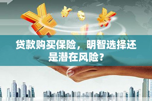 阳春贷款购买保险，明智选择还是潜在风险？