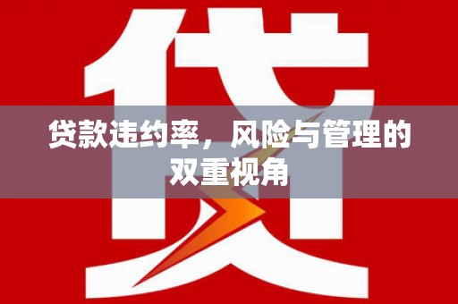 阳春贷款违约率，风险与管理的双重视角