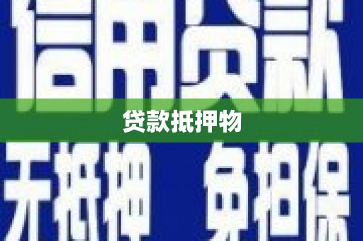 阳春贷款抵押物