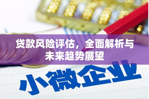 阳春贷款风险评估，全面解析与未来趋势展望
