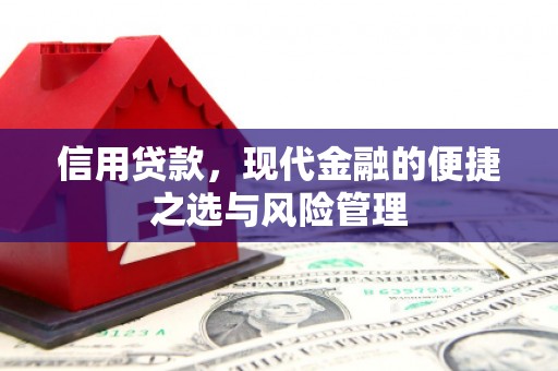阳春信用贷款，现代金融的便捷之选与风险管理