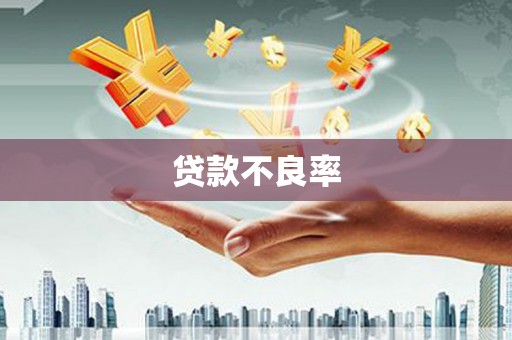 阳春贷款不良率
