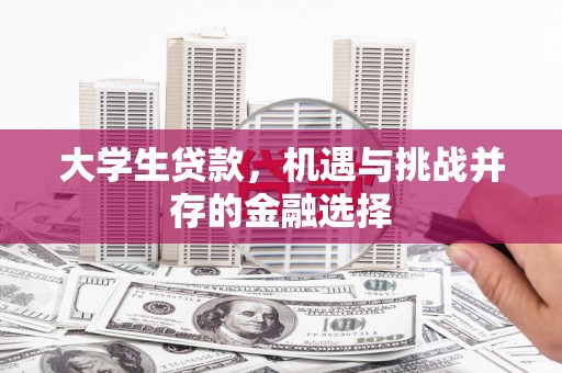 阳春大学生贷款，机遇与挑战并存的金融选择