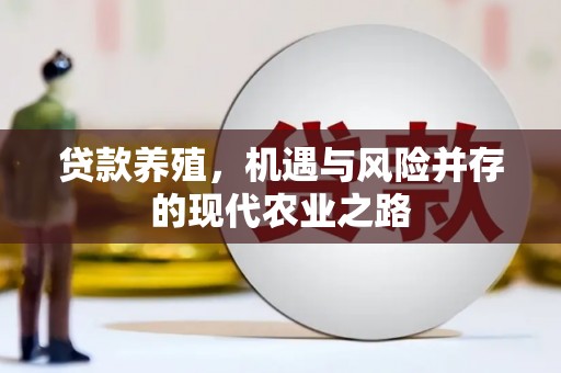 阳春贷款养殖，机遇与风险并存的现代农业之路