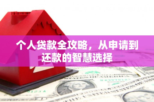 阳春个人贷款全攻略，从申请到还款的智慧选择