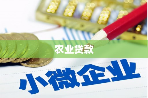 阳春农业贷款