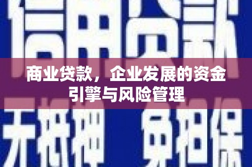阳春商业贷款，企业发展的资金引擎与风险管理