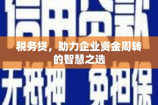 阳春税务贷，助力企业资金周转的智慧之选
