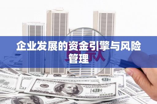 阳春企业发展的资金引擎与风险管理