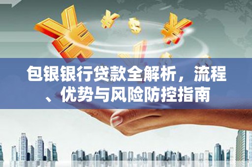 阳春包银银行贷款全解析，流程、优势与风险防控指南