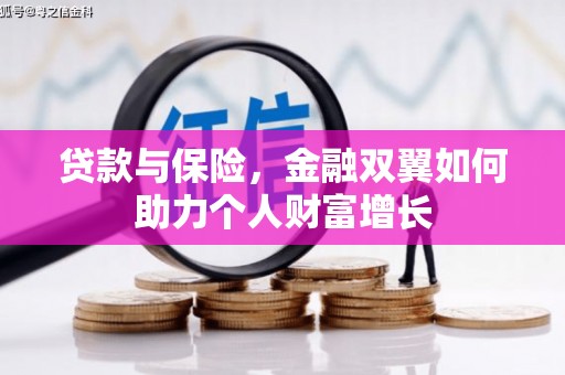 阳春贷款与保险，金融双翼如何助力个人财富增长