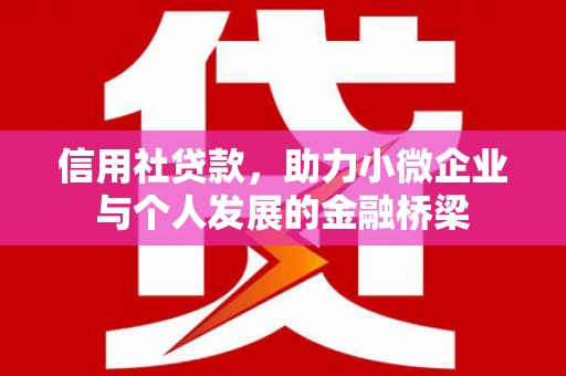 阳春信用社贷款，助力小微企业与个人发展的金融桥梁
