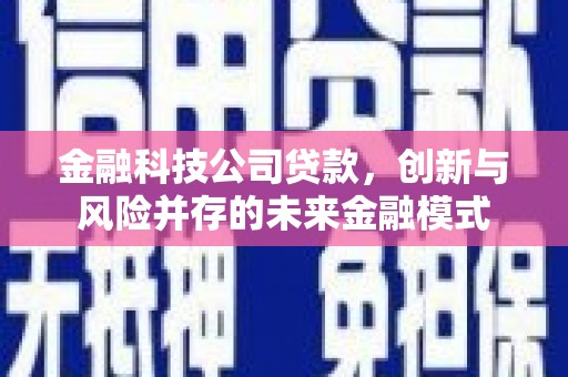 阳春金融科技公司贷款，创新与风险并存的未来金融模式