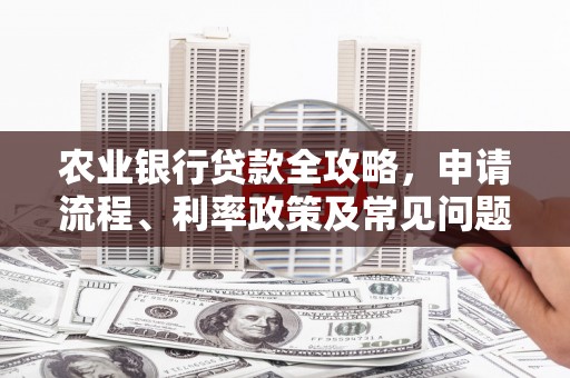 阳春农业银行贷款全攻略，申请流程、利率政策及常见问题解析