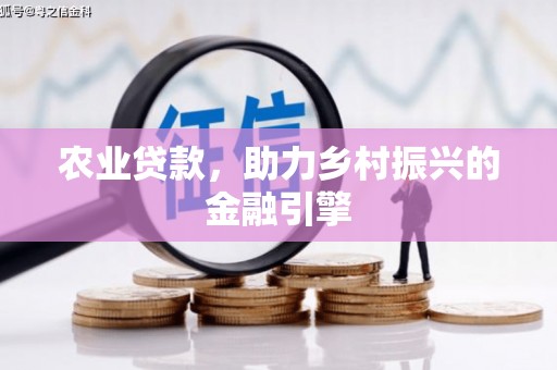 阳春农业贷款，助力乡村振兴的金融引擎