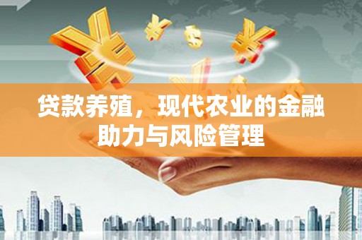 阳春贷款养殖，现代农业的金融助力与风险管理