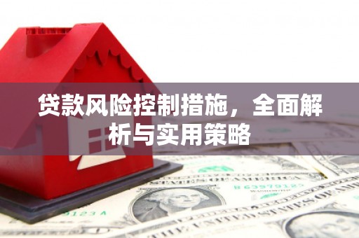阳春贷款风险控制措施，全面解析与实用策略