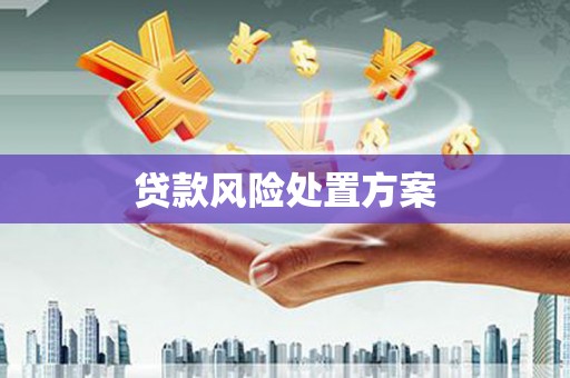 阳春贷款风险处置方案