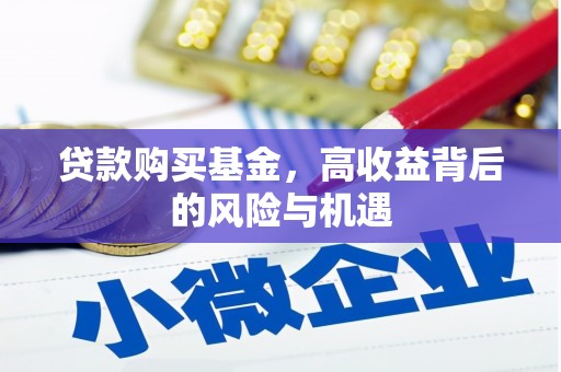 阳春贷款购买基金，高收益背后的风险与机遇