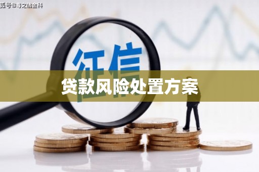 阳春贷款风险处置方案