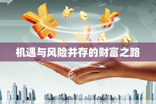 阳春机遇与风险并存的财富之路