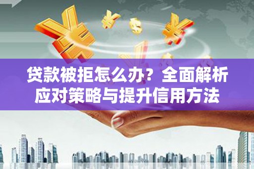 阳春贷款被拒怎么办？全面解析应对策略与提升信用方法