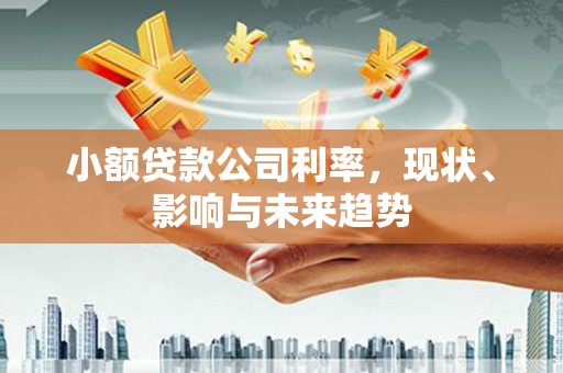 阳春小额贷款公司利率，现状、影响与未来趋势