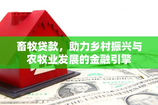 阳春畜牧贷款，助力乡村振兴与农牧业发展的金融引擎