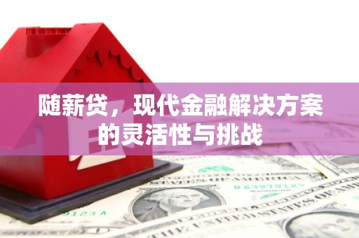 阳春随薪贷，现代金融解决方案的灵活性与挑战