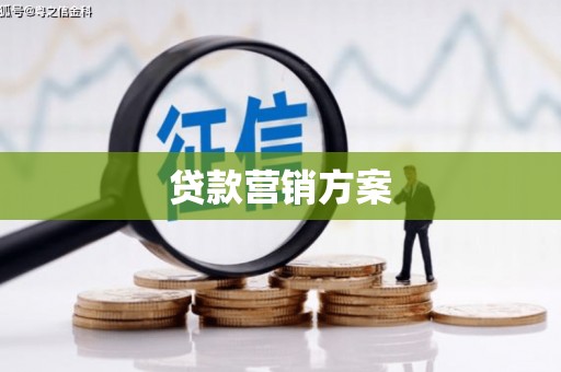 阳春贷款营销方案