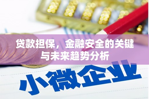 阳春贷款担保，金融安全的关键与未来趋势分析