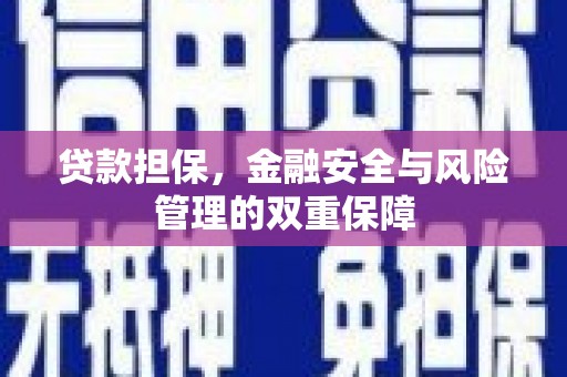 阳春贷款担保，金融安全与风险管理的双重保障