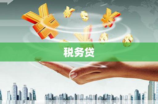 阳春税务贷