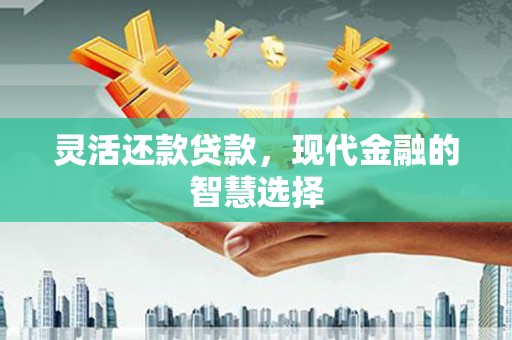 阳春灵活还款贷款，现代金融的智慧选择