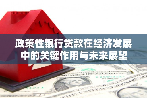 阳春政策性银行贷款在经济发展中的关键作用与未来展望